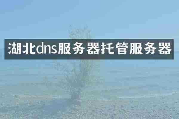 湖北dns服务器托管服务器