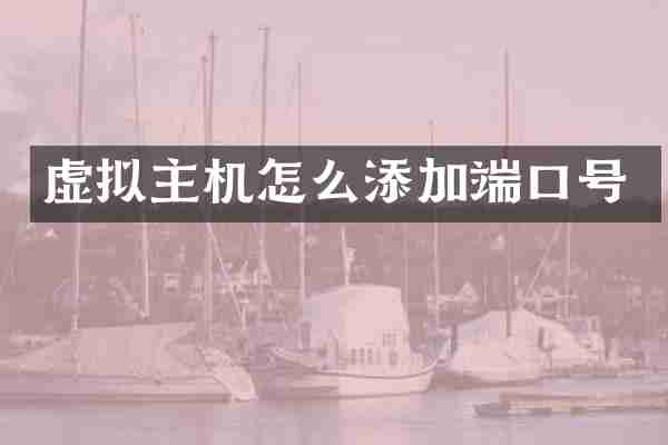 虚拟主机怎么添加端口号