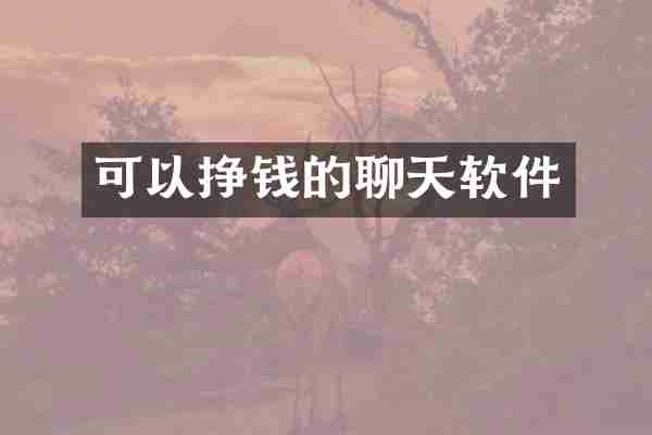 可以挣钱的聊天软件