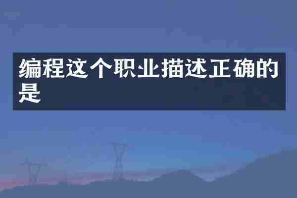 编程这个职业描述正确的是