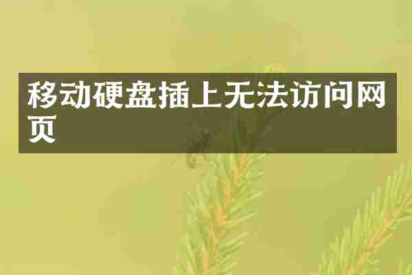 移动硬盘插上无法访问网页
