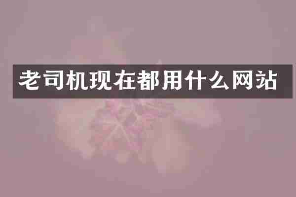 老司机现在都用什么网站