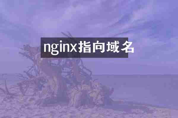 nginx指向域名