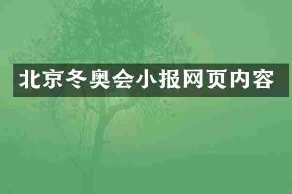 北京冬奥会小报网页内容