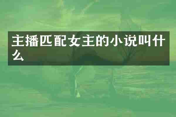 主播匹配女主的小说叫什么