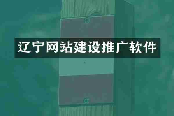 辽宁网站建设推广软件
