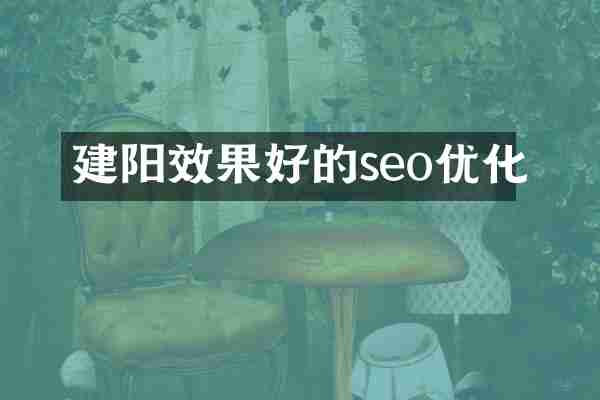 建阳效果好的seo优化