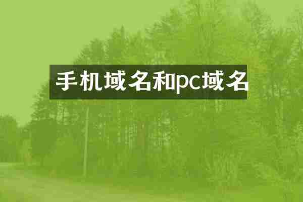 手机域名和pc域名