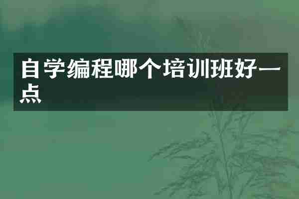 自学编程哪个培训班好一点