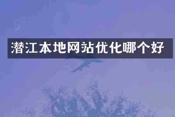 潜江本地网站优化哪个好