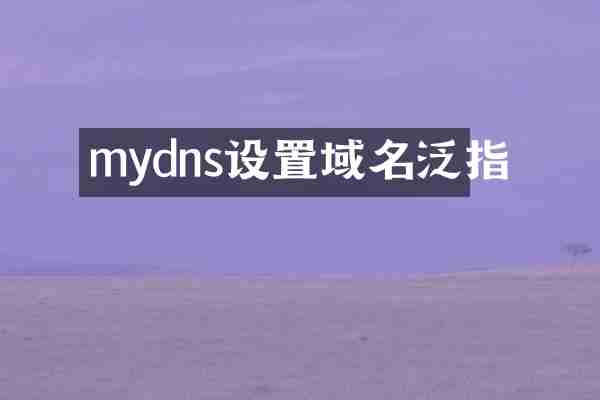 mydns设置域名泛指