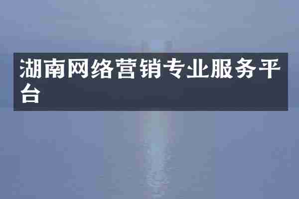 湖南网络营销专业服务平台