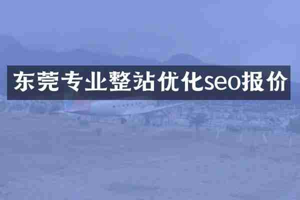 东莞专业整站优化seo报价