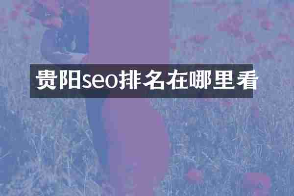 贵阳seo排名在哪里看