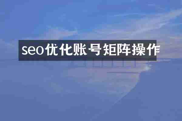 seo优化账号矩阵操作