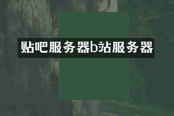 贴吧服务器b站服务器