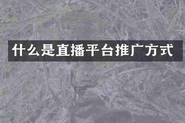 什么是直播平台推广方式