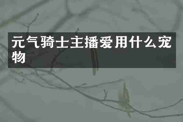 元气骑士主播爱用什么宠物