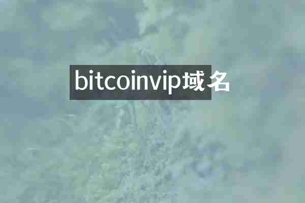 bitcoinvip域名