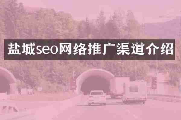 盐城seo网络推广渠道介绍