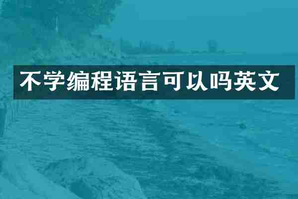 不学编程语言可以吗英文