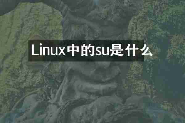 Linux中的su是什么