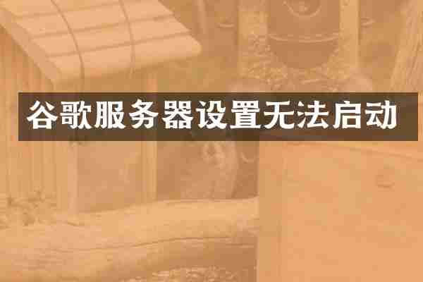 谷歌服务器设置无法启动