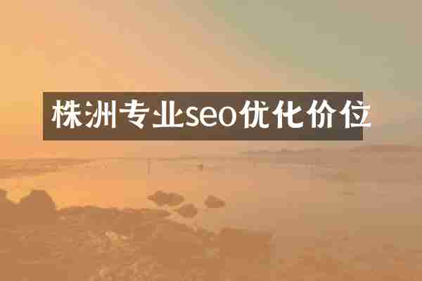 株洲专业seo优化价位