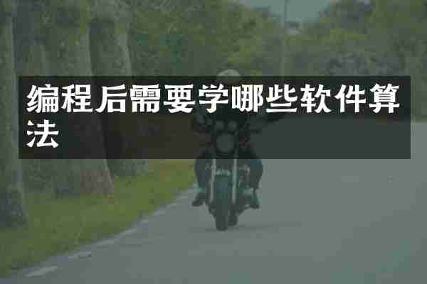 编程后需要学哪些软件算法