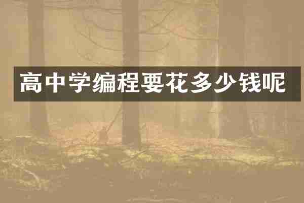 高中学编程要花多少钱呢
