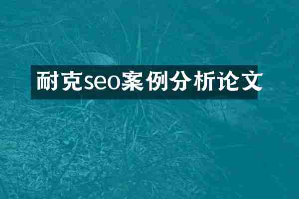 耐克seo案例分析论文