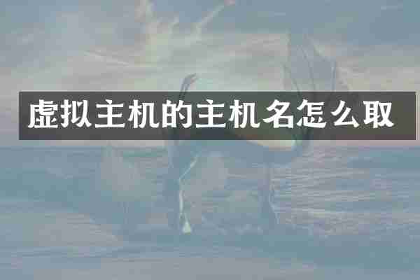 虚拟主机的主机名怎么取