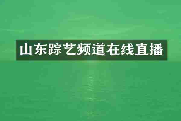 山东踪艺频道在线直播