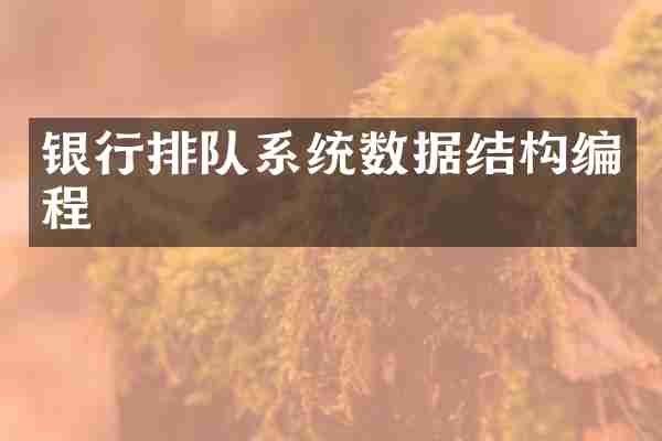 银行排队系统数据结构编程