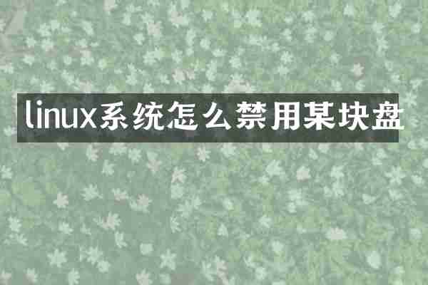 linux系统怎么禁用某块盘