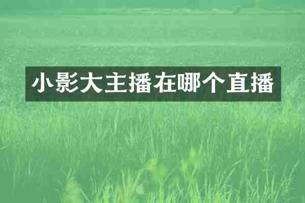 小影大主播在哪个直播