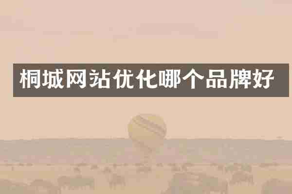 桐城网站优化哪个品牌好