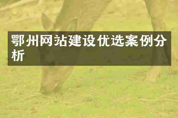 鄂州网站建设优选案例分析