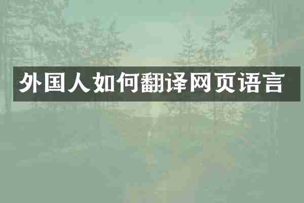 外国人如何翻译网页语言