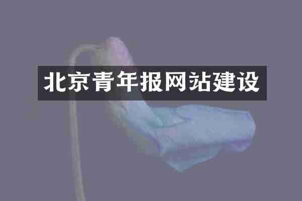 北京青年报网站建设