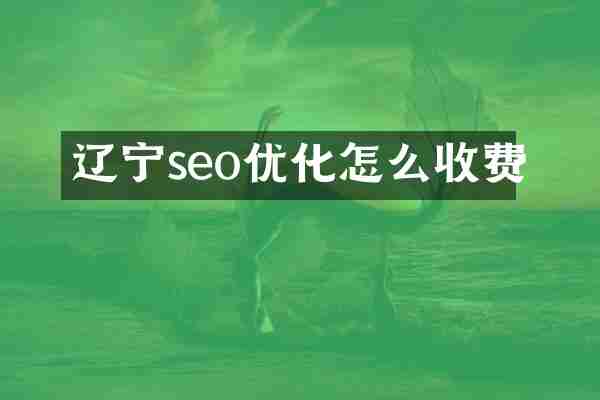 辽宁seo优化怎么收费