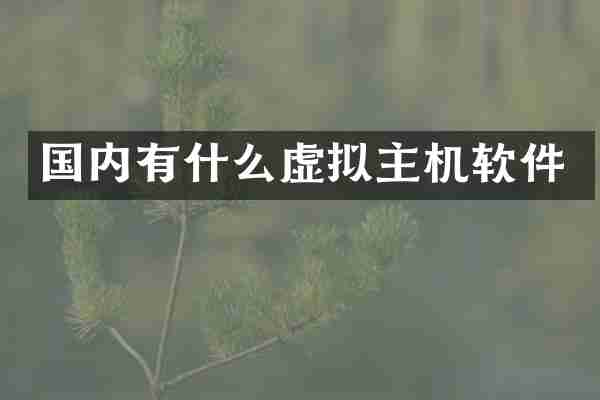 国内有什么虚拟主机软件