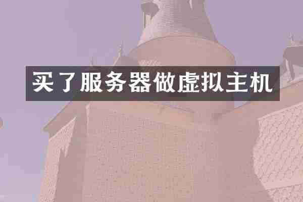 买了服务器做虚拟主机