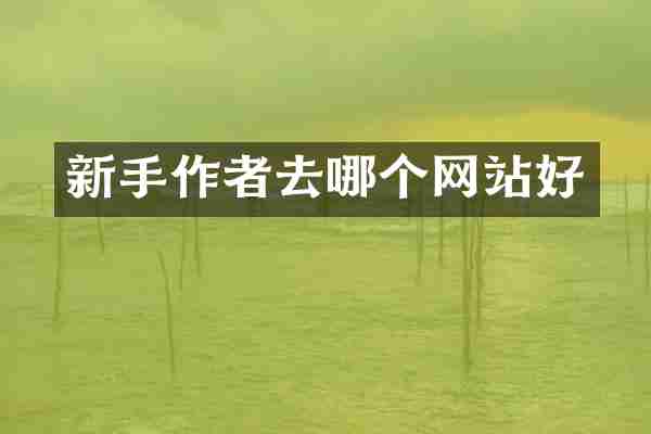 新手作者去哪个网站好