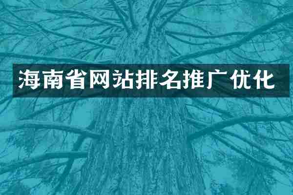 海南省网站排名推广优化