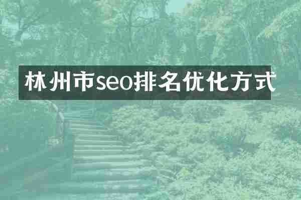 林州市seo排名优化方式