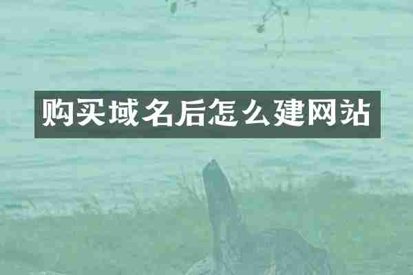 购买域名后怎么建网站