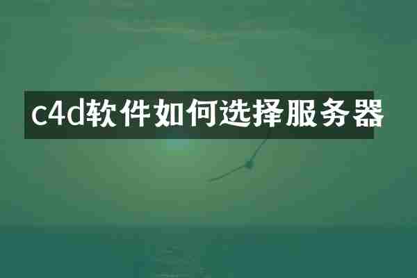 c4d软件如何选择服务器