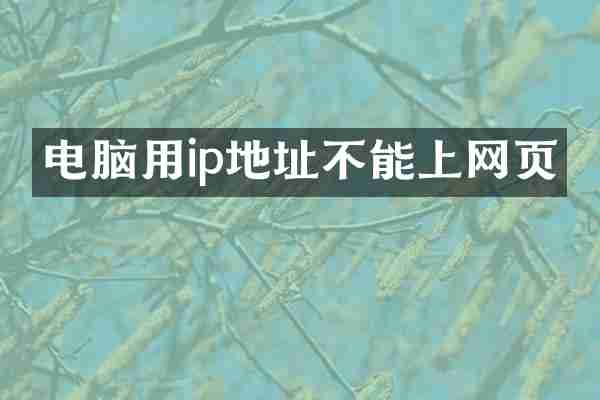 电脑用ip地址不能上网页