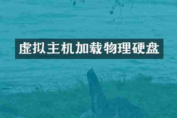 虚拟主机加载物理硬盘